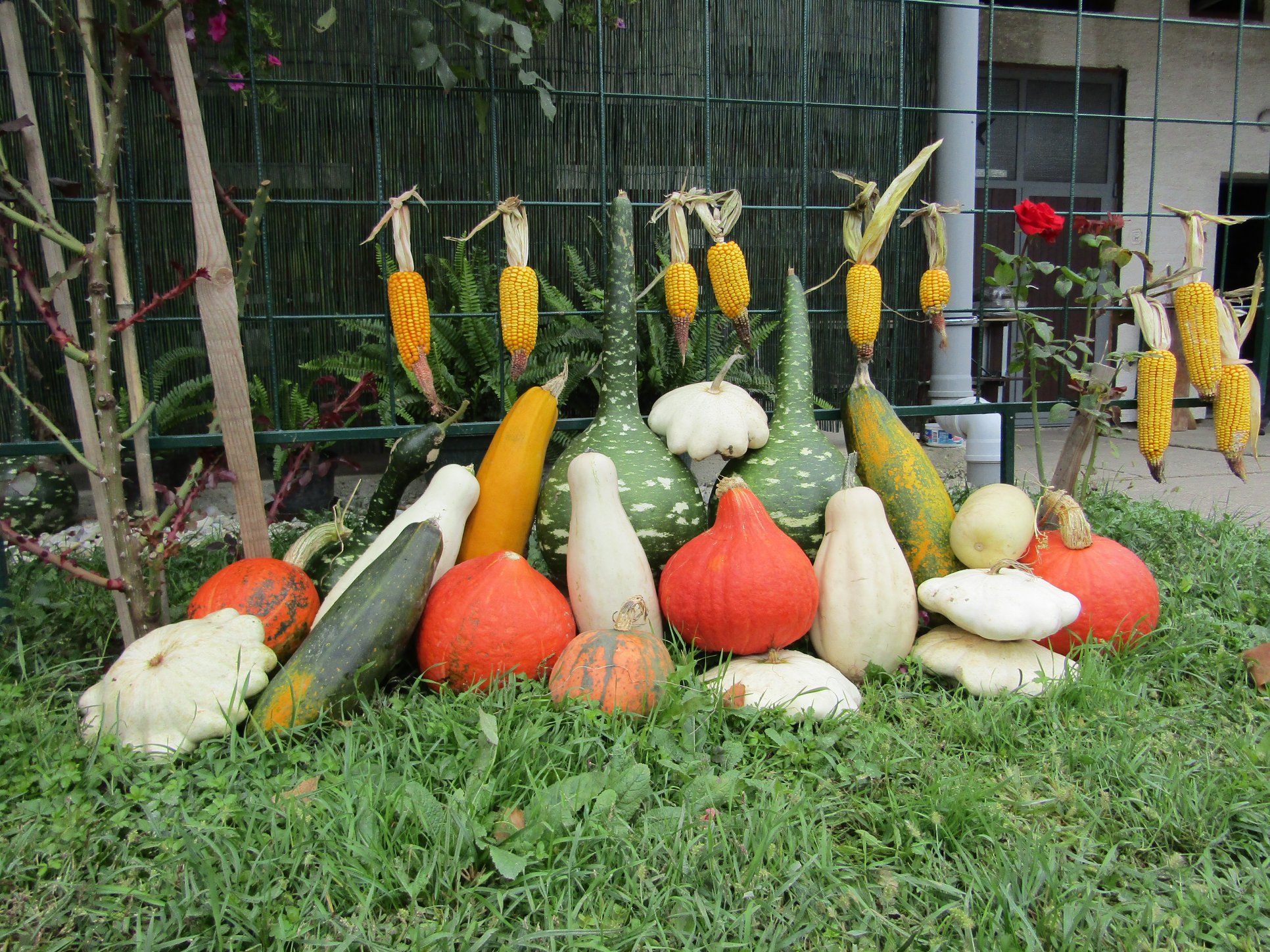 Posjetite Ivanić-Grad