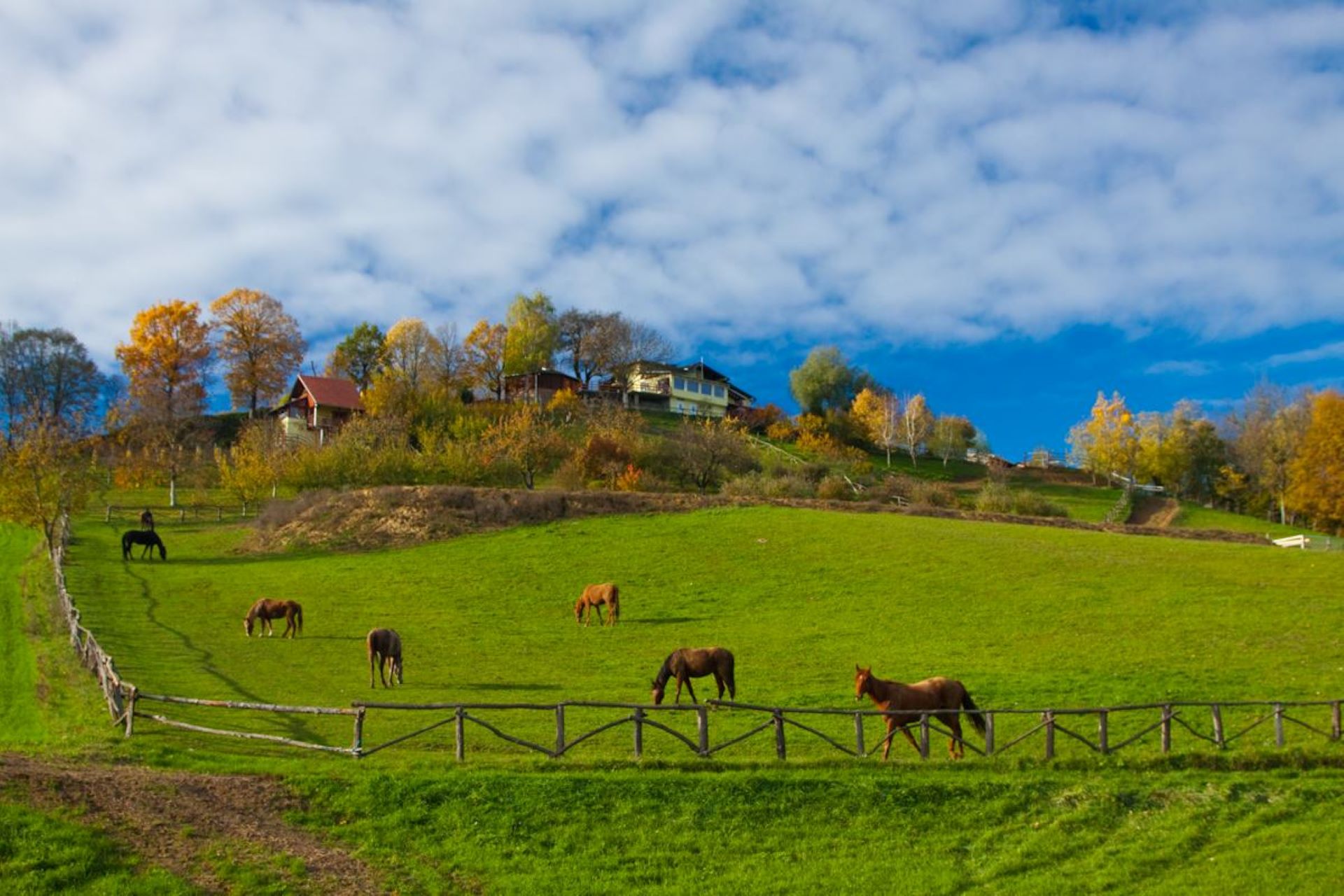 Seoski turizam Na malenom brijegu