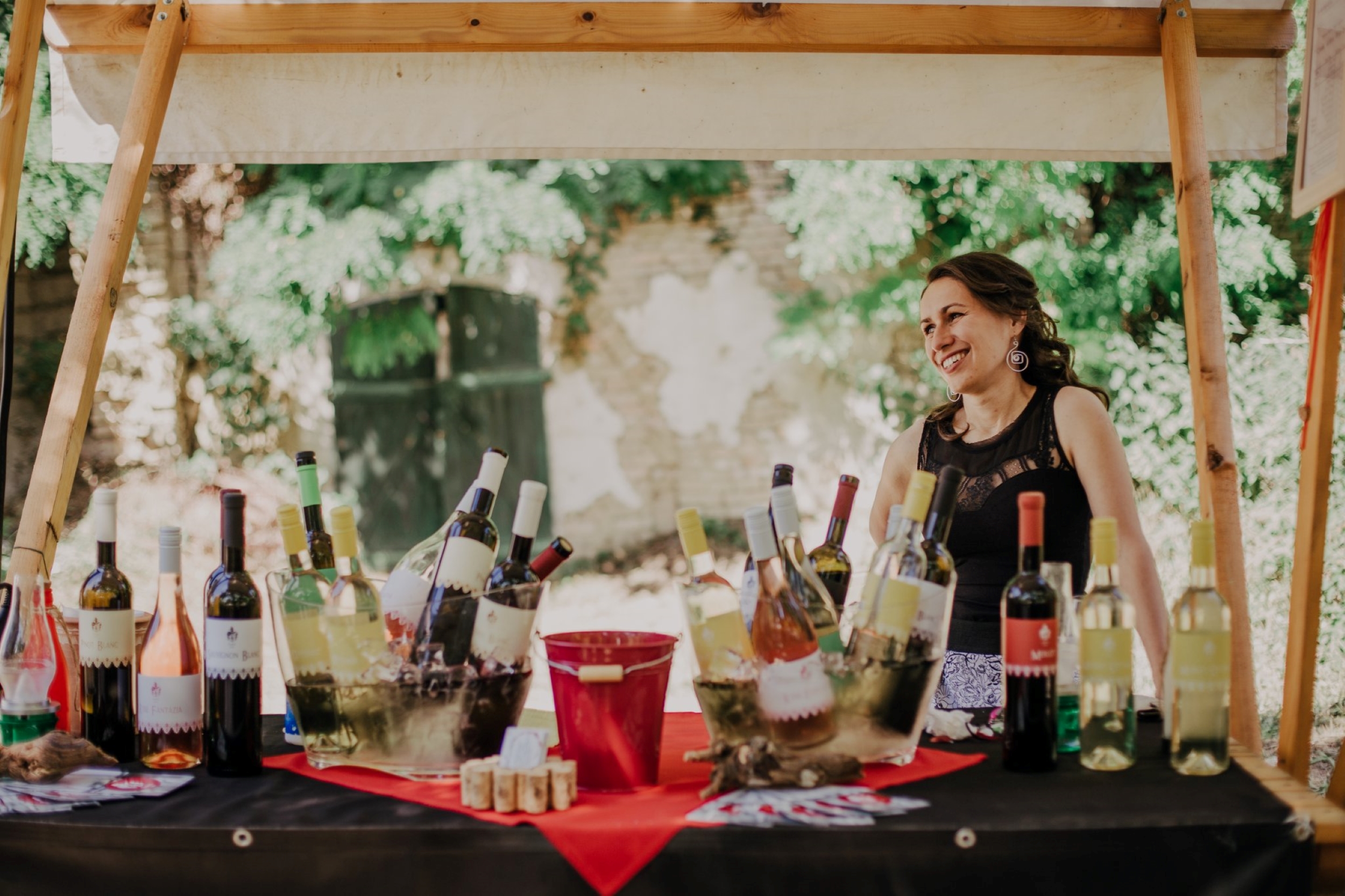 Szabó vinogradarstvo i vinarstvo